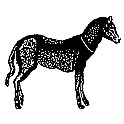 Tarpan Press logo